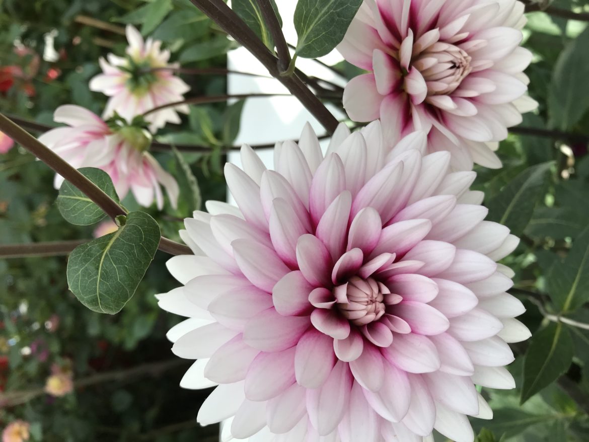 What Is Creative Intelligence?