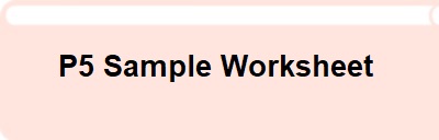 P5 Sample Worksheet