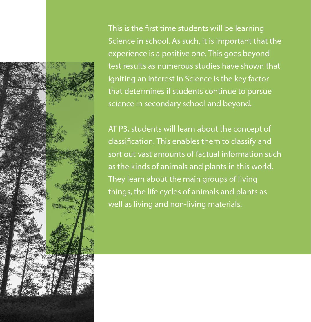 Science Primary 3 Information