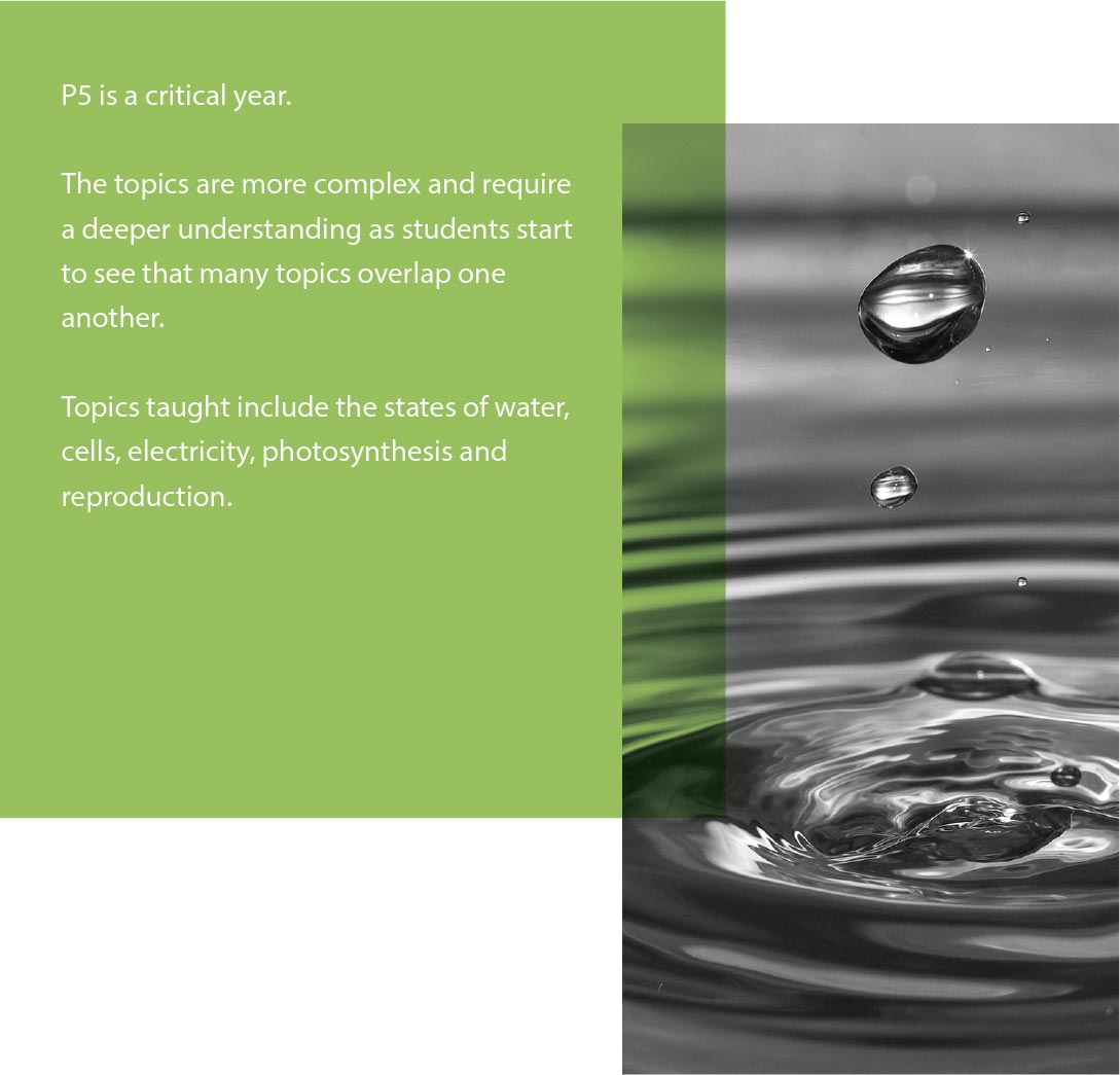 Science Primary 5 Information