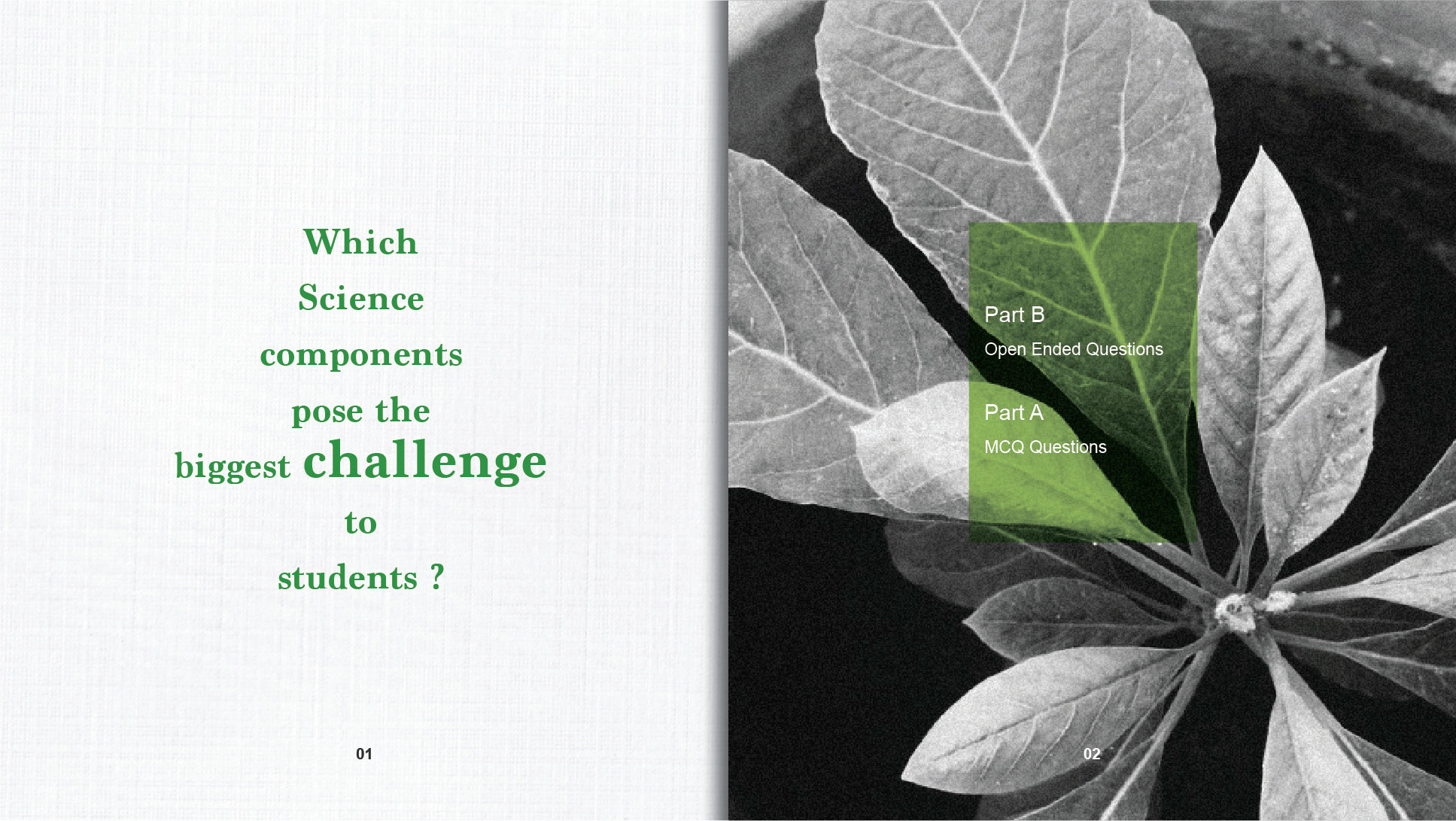 The Schooling Society Boutique Enrichment Centre Primary Science open ended Part B questions experiments tips